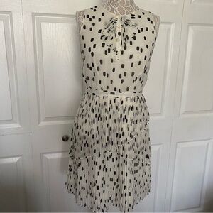 Banana Republic Polka Dot Pleated Dress 6